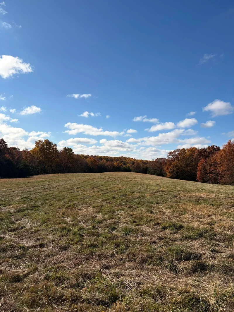 Tbd SE 1325 Road, Weaubleau, MO 65774, Weaubleau, Missouri, United States. - Photo 27