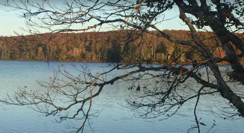 Unlock The Potential Of This 117 Acres