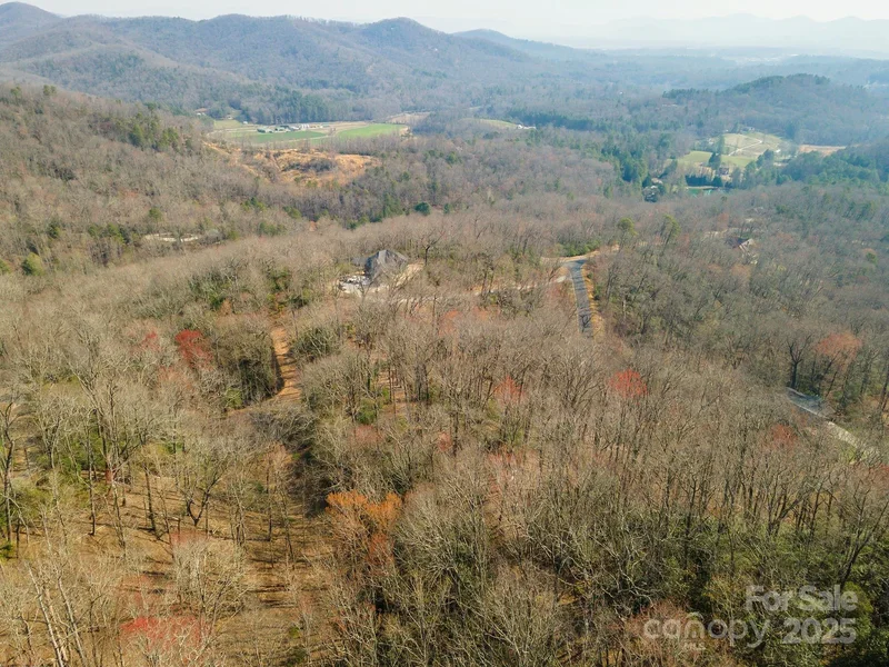 0 Shining Rock Path 11, Horse Shoe, North Carolina, United States. - Photo 6