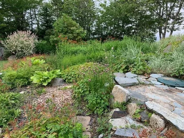 Gallery photo 8