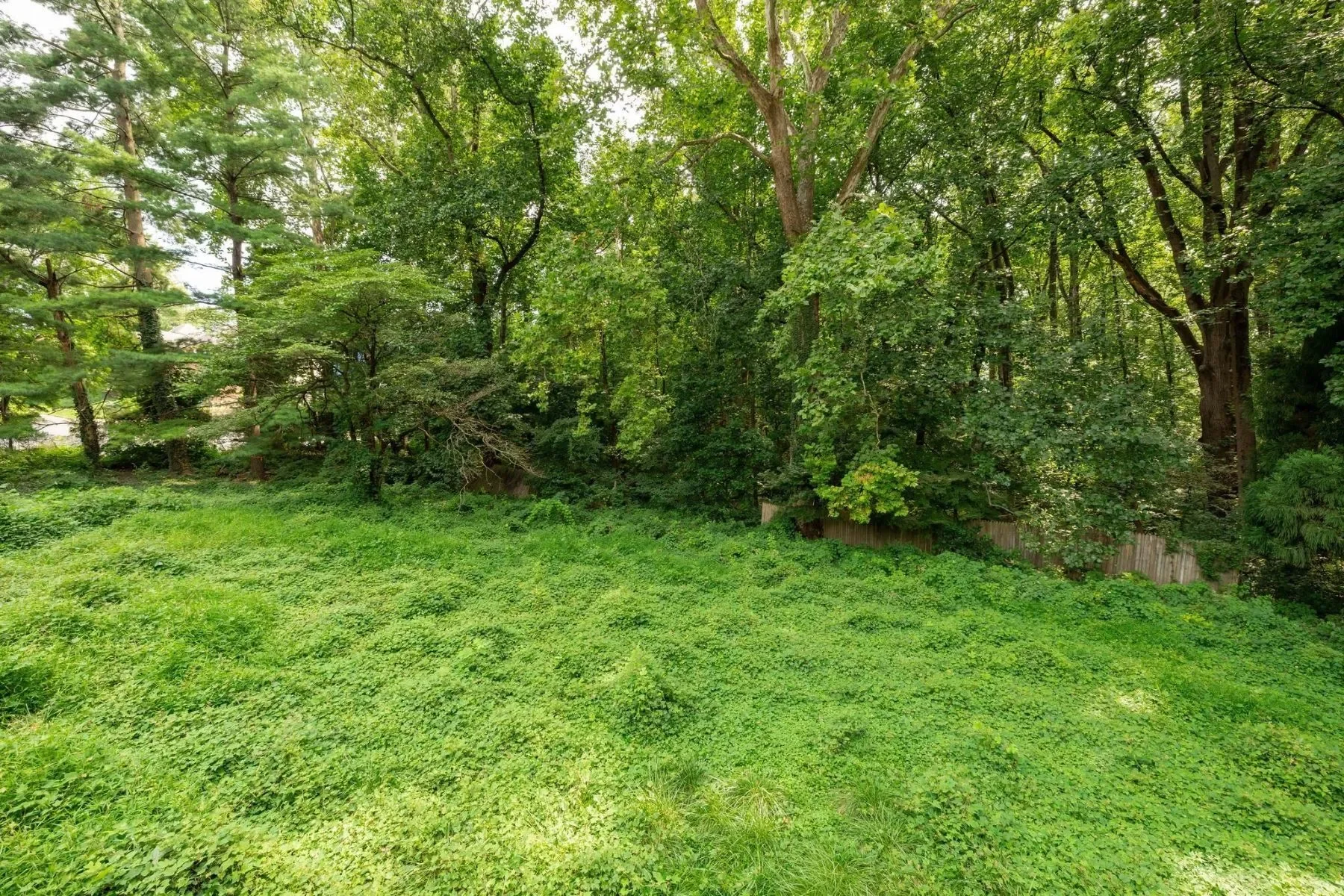 Gallery photo 5