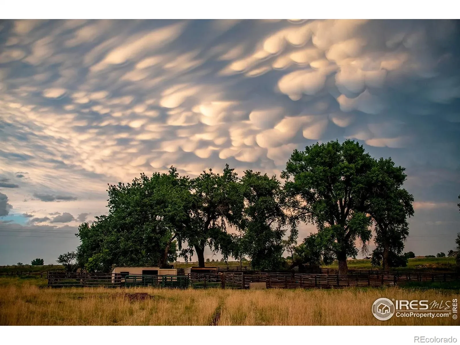 5513 E Highway 14, Fort Collins, Colorado, United States. - Photo 29