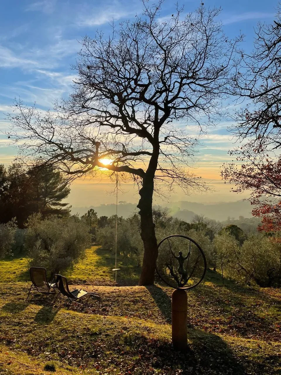 Assisi, San Damiano, Umbria, Italy. - Photo 67