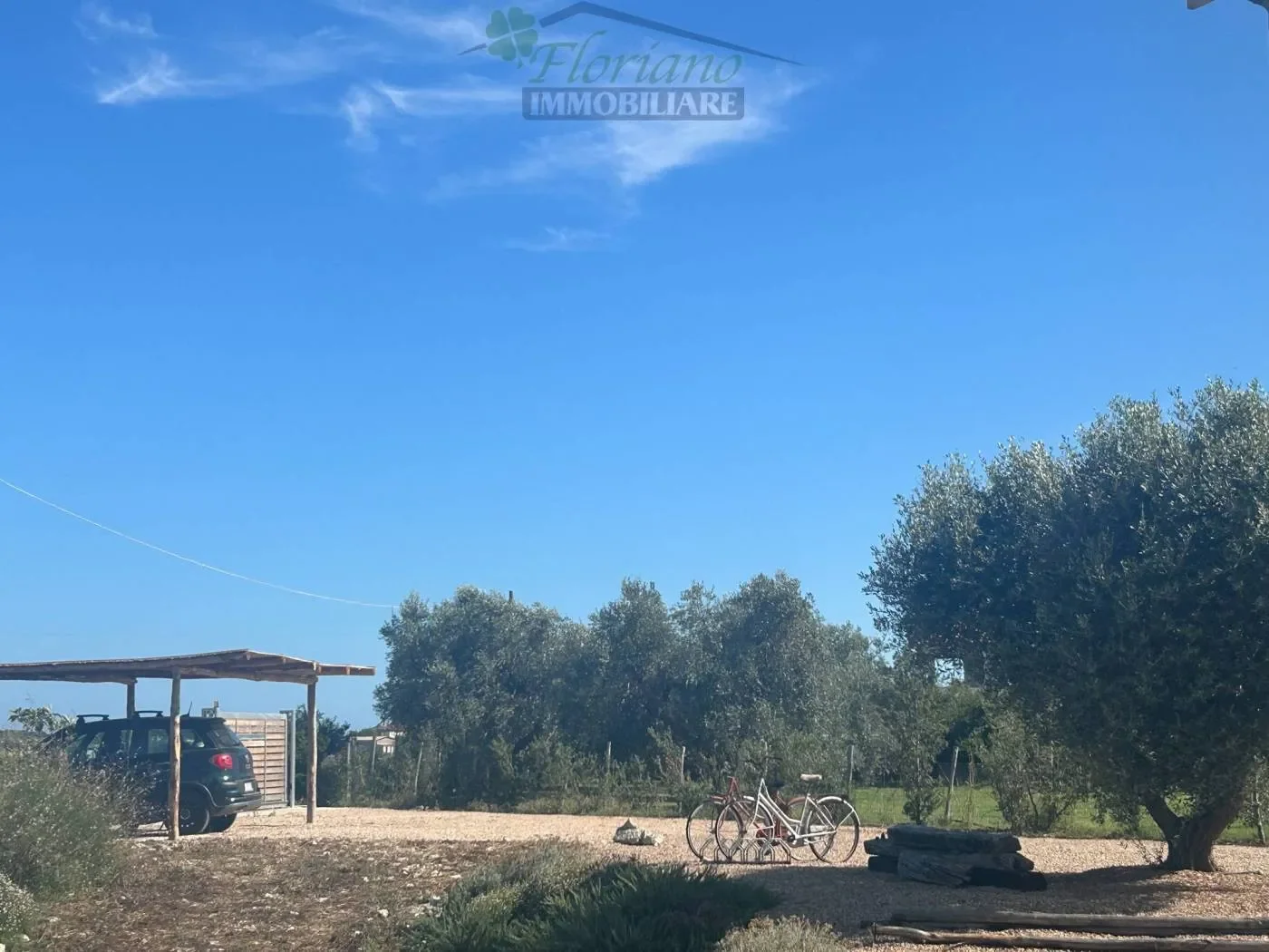 Strada Tavolaro, Montalto di Castro, Lazio, Italy. - Photo 48