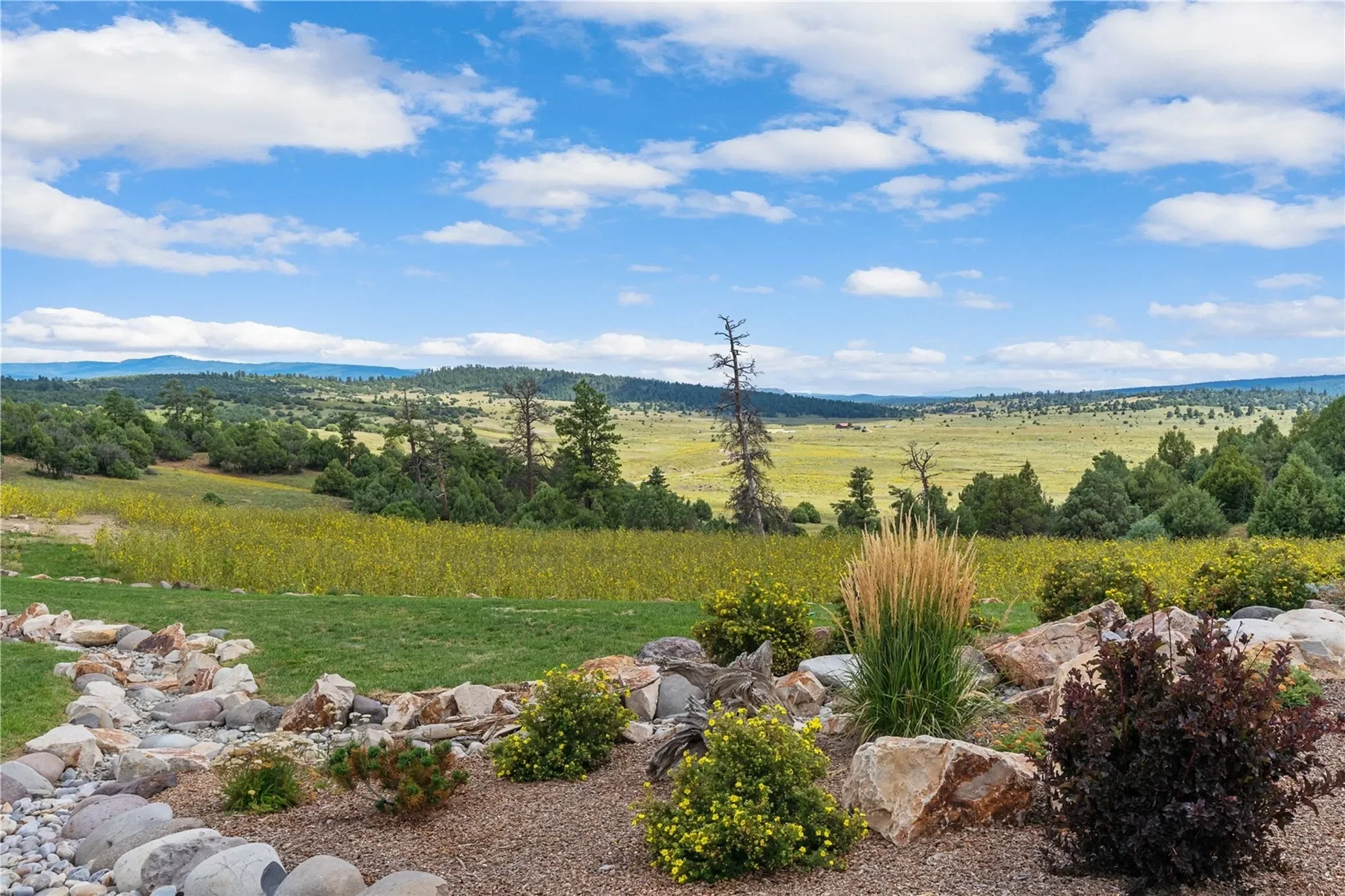 169 Elk Drive, Chama, NM 87520, Chama, New Mexico, United States. - Photo 55