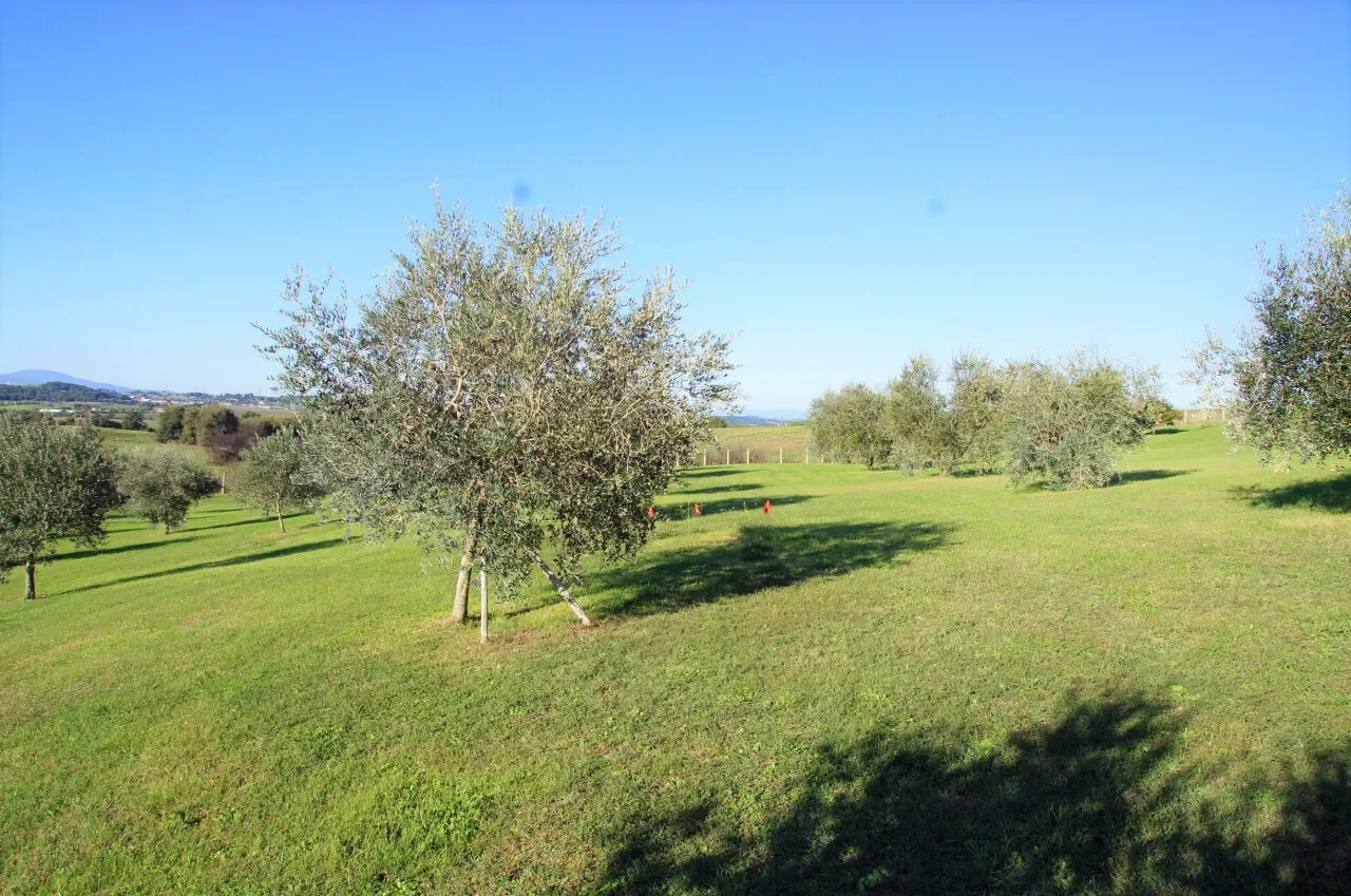 Strada delle Cese, Lazio, Italy. - Photo 10