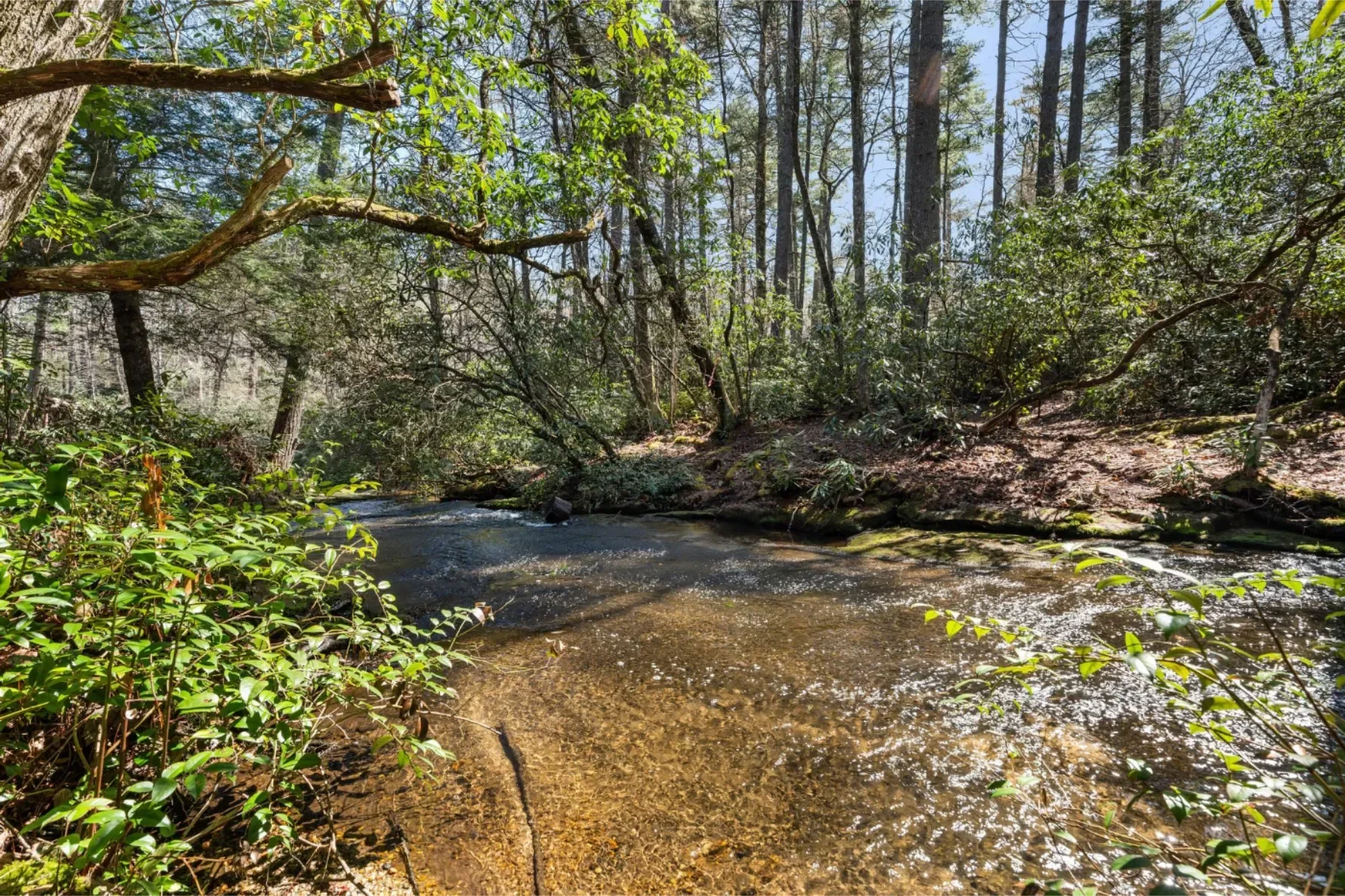 1671 Highway 107S, Cashiers, NC 28717, Highlands, North Carolina, United States. - Photo 49