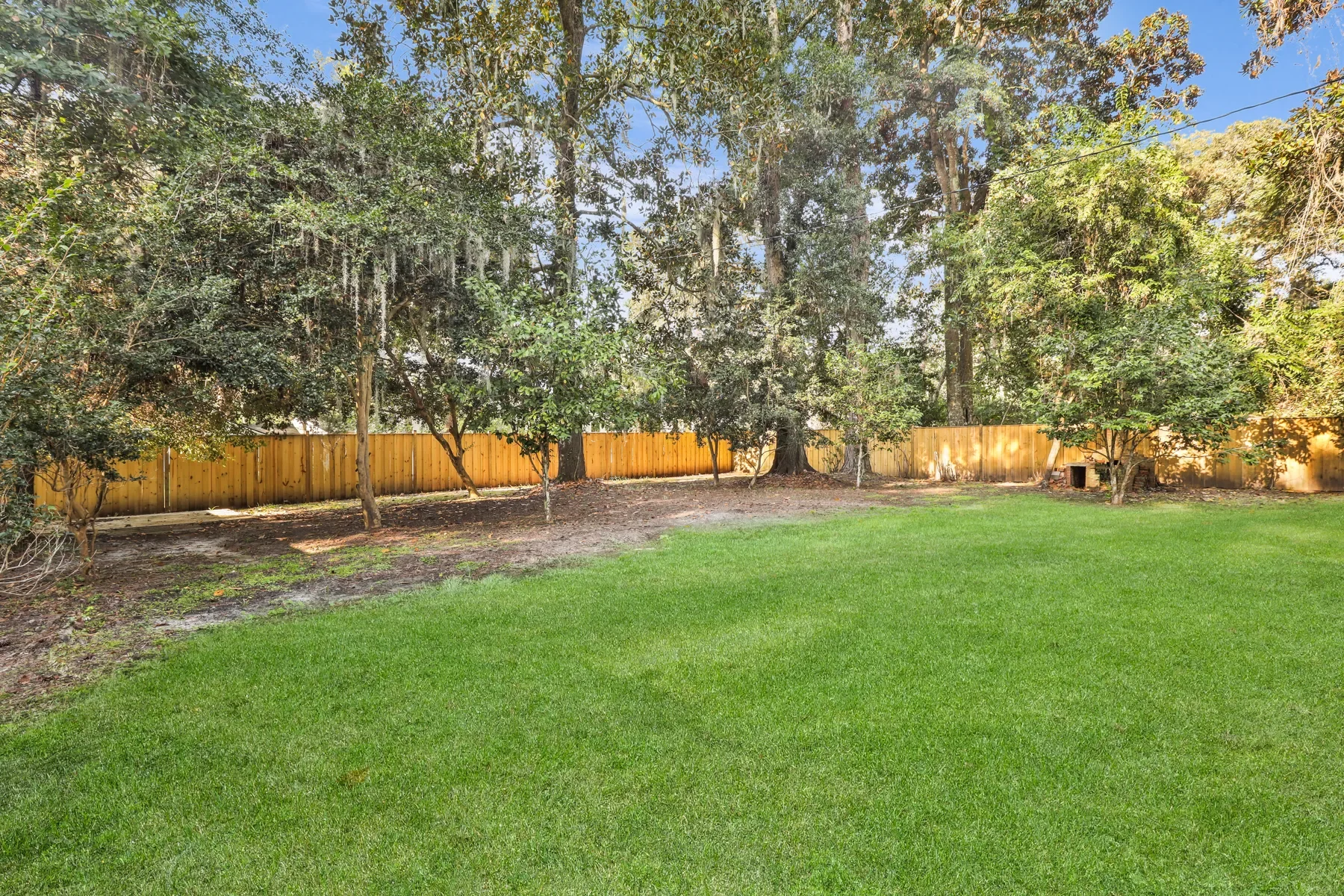 Gallery photo 11