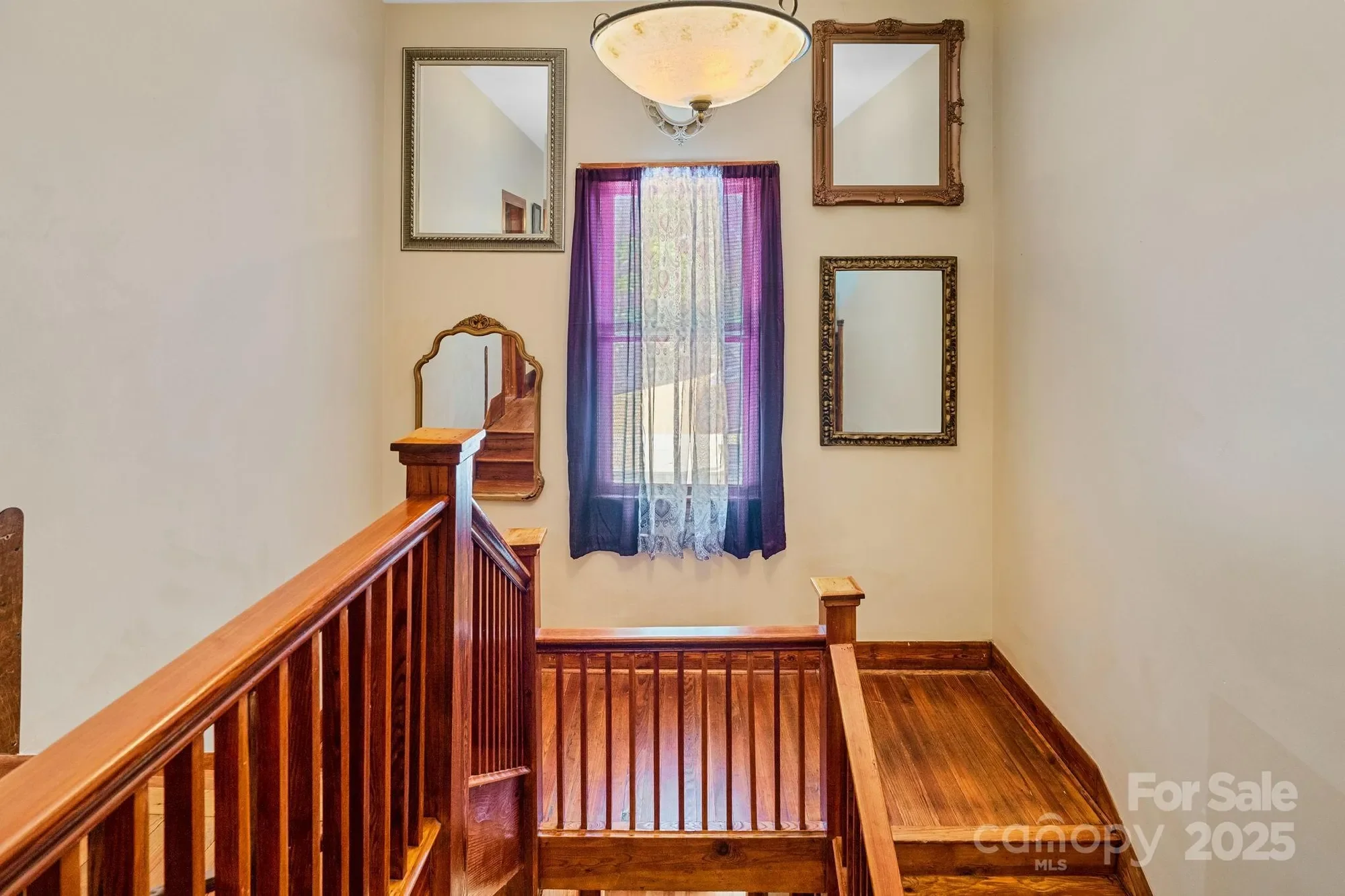 Gallery photo 7