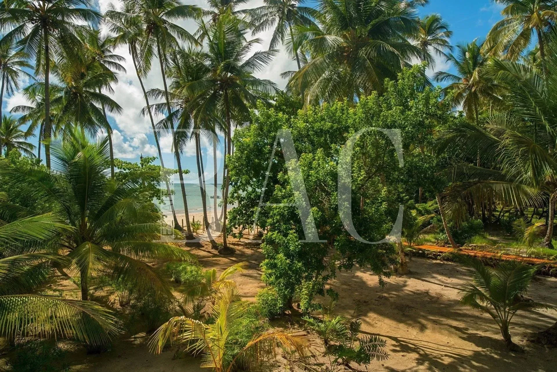 State of Bahia, Brazil. - Photo 2