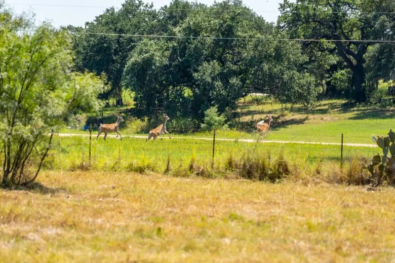 Lot 2 Mariposa Drive, Fredericksburg, Texas, United States. - Photo 11