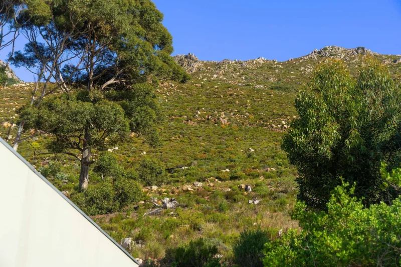 9 Valley Cul De Sac, Cape Town, Western Cape, South Africa. - Photo 69