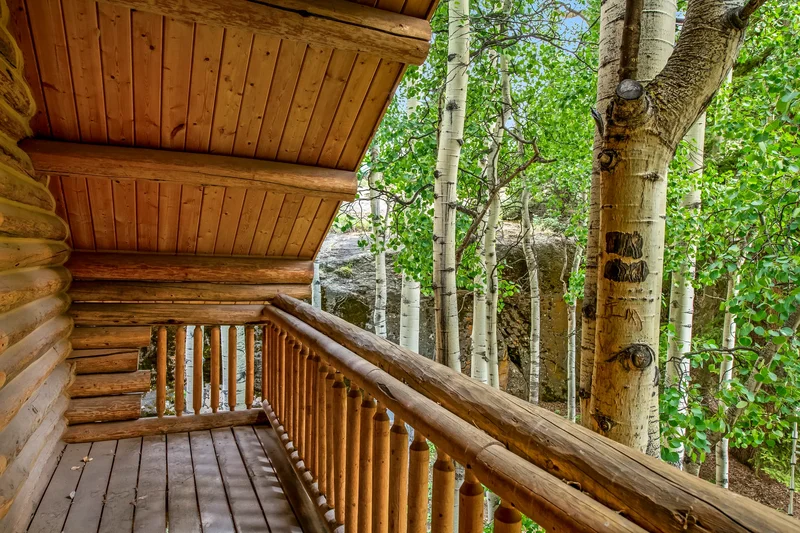 228 Showdown Trail Unit# #23, Lake City, CO 81235, Lake City, Colorado, United States. - Photo 26