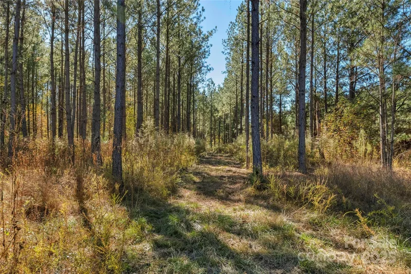 0000 Quarter Round Road #9, Pacolet, SC 29372, Pacolet, South Carolina, United States. - Photo 7