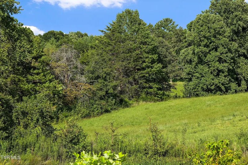 131 Brown Drive, Chuckey, TN 37641, Chuckey, Tennessee, United States. - Photo 73
