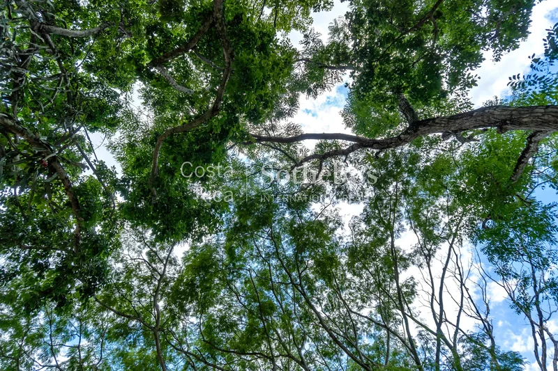 San Juan Grande, Esparza, P, San Juan Grande, Puntarenas Province, Costa Rica. - Photo 11