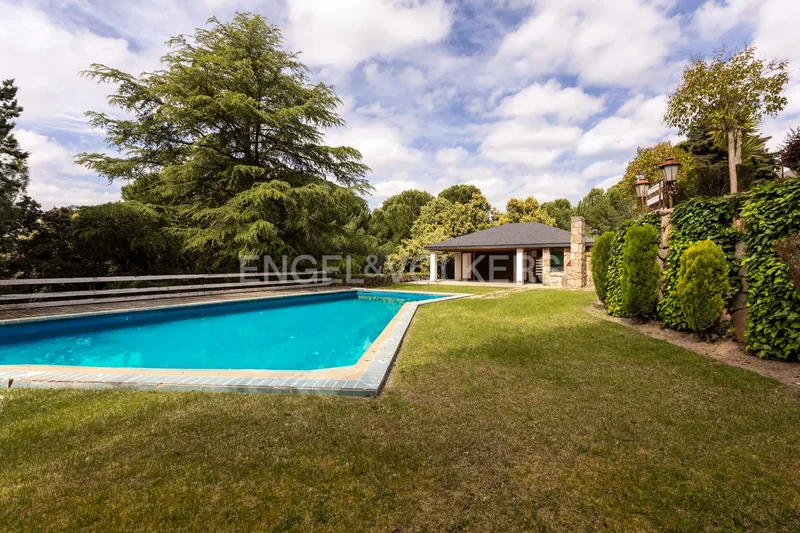 Calle del Camino del Sur, La Moraleja, Alcobendas, Community of Madrid. - Photo 35