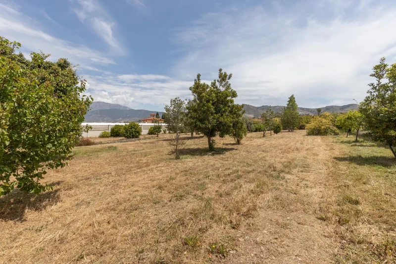 Puntalon, Motril, GRANADA, Motril, Motril, Andalusia, Spain. - Photo 35