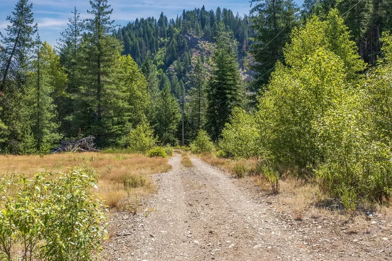 NKA Coeur d'Alene River Rd, Kingston, ID 83839, 83839, Idaho, United States. - Photo 6