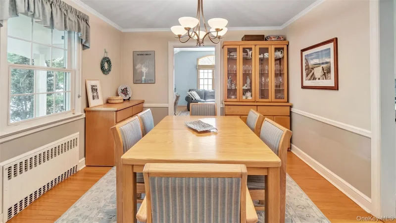 35 Carlton Street, Malverne, New York, United States. - Photo 19