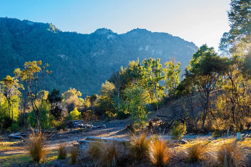 Bob Fortune Cove, Queenstown, OTA, Queenstown, Otago, New Zealand. - Photo 6