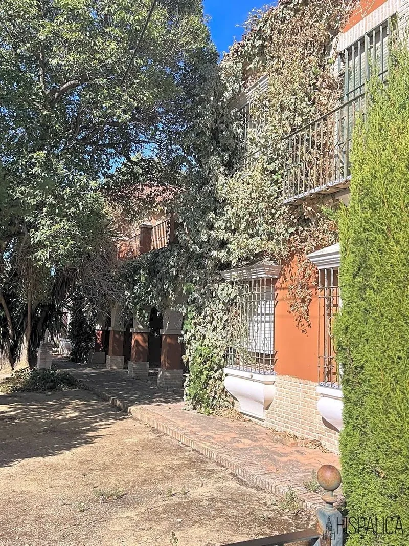 Écija, Sevilla, Écija, Ecija, Andalusia, Spain. - Photo 17
