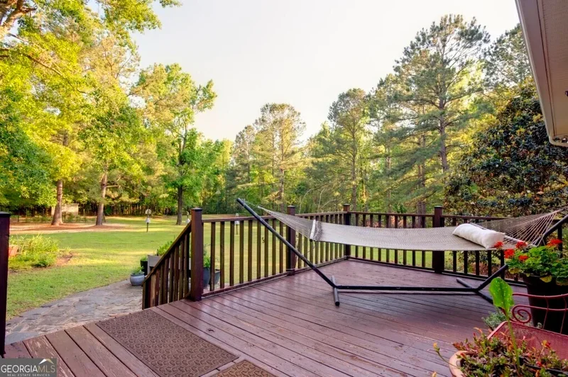 Midville, Georgia, United States. - Photo 12