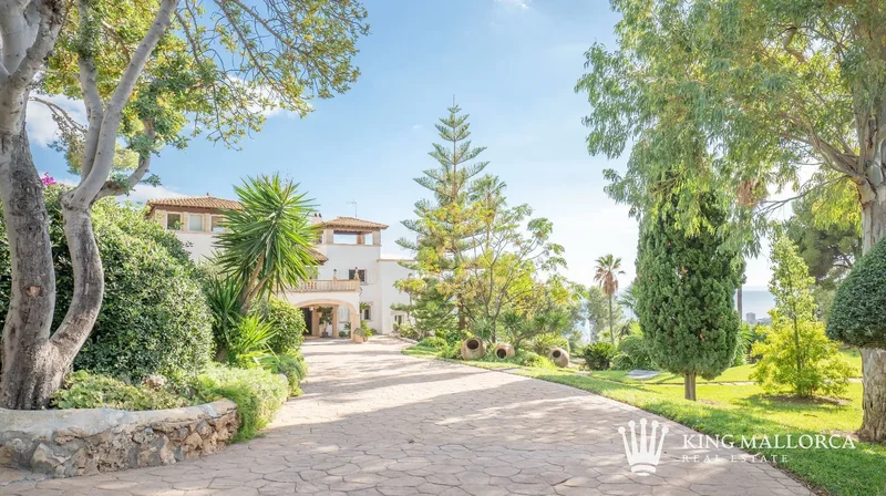 373, Baleares, Genoa, Palma, Balearic Islands. - Photo 22