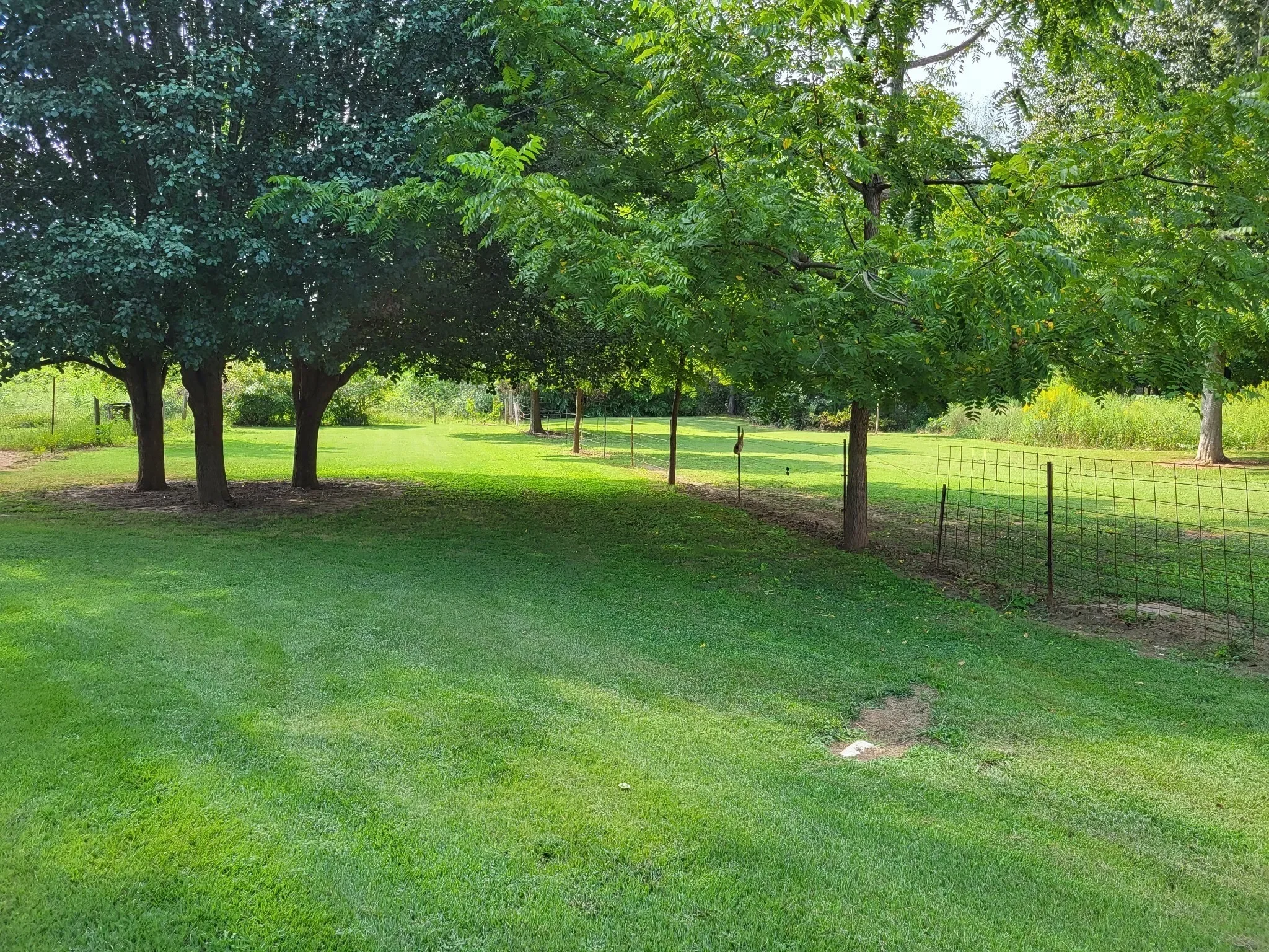 967 Mud Creek Road, Morrison, TN 37357, Morrison, Tennessee, United States. - Photo 19
