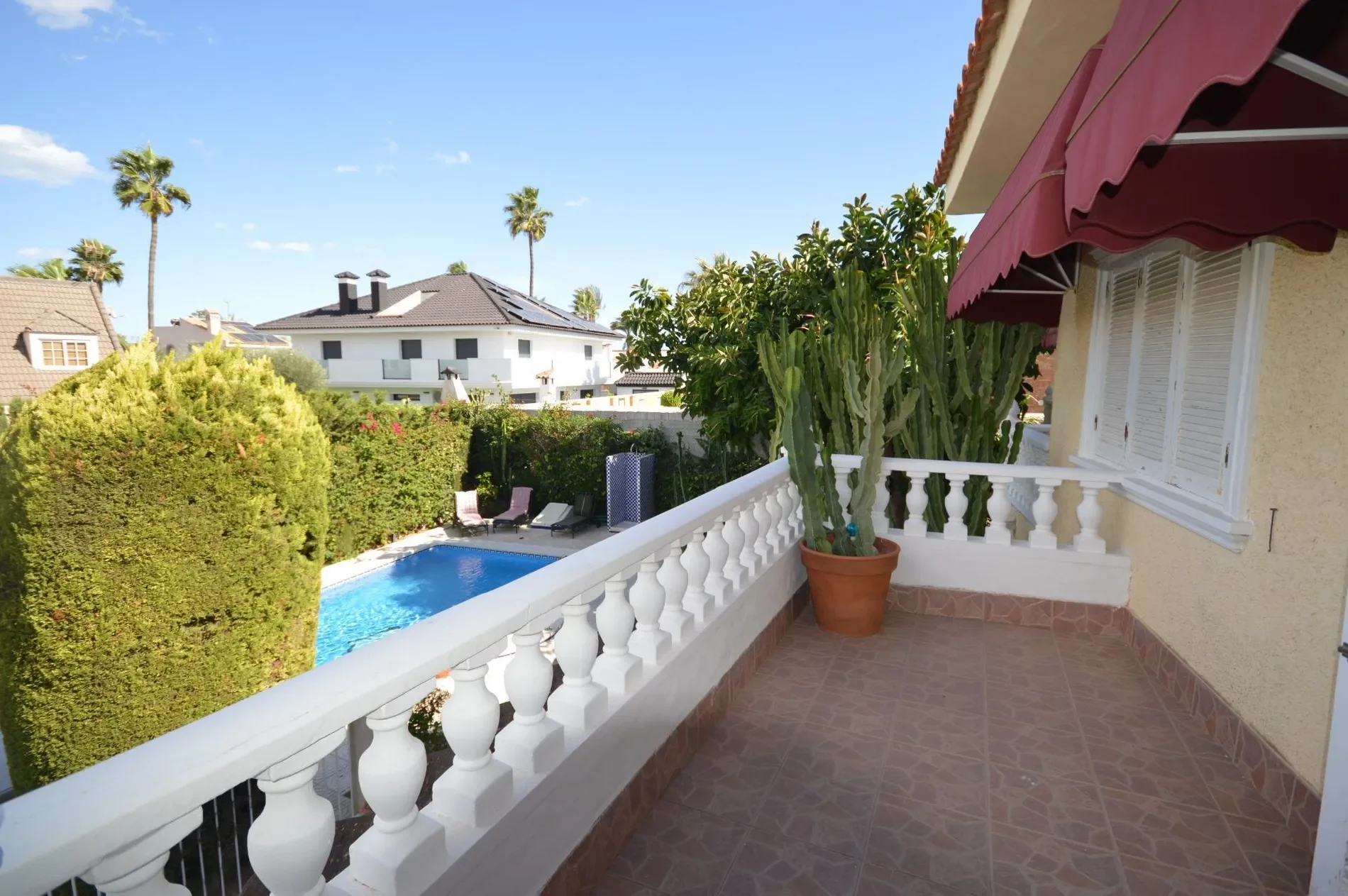 La veleta, Torrevieja, ALICANTE, Torrevieja, Torrevieja, Valencian Community, Spain. - Photo 12