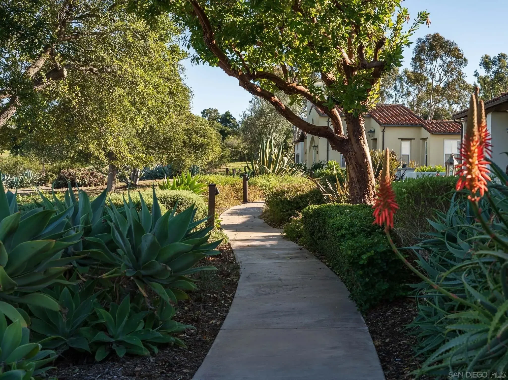 8341 Santaluz Village Green E, Rancho Santa Fe, California, United States. - Photo 31