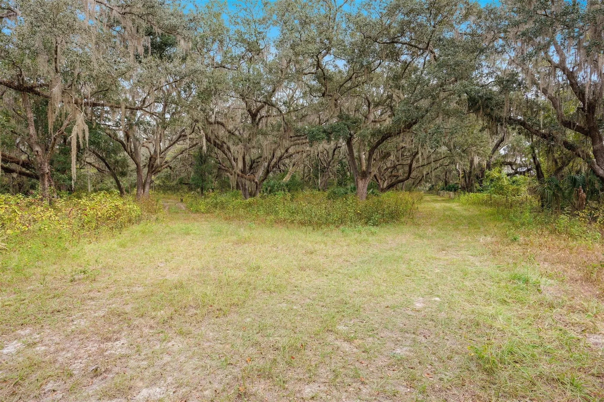 41526 SADDLE RIDGE LANE, The Villages, Florida, United States. - Photo 76