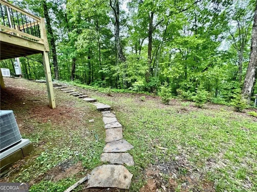 Hiawassee, Georgia, United States. - Photo 31