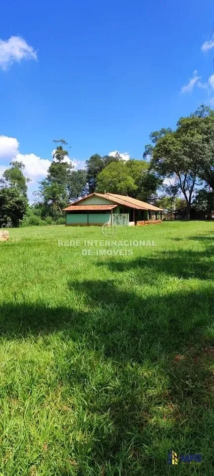 Paranapanema, State of São Paulo, Brazil. - Photo 10