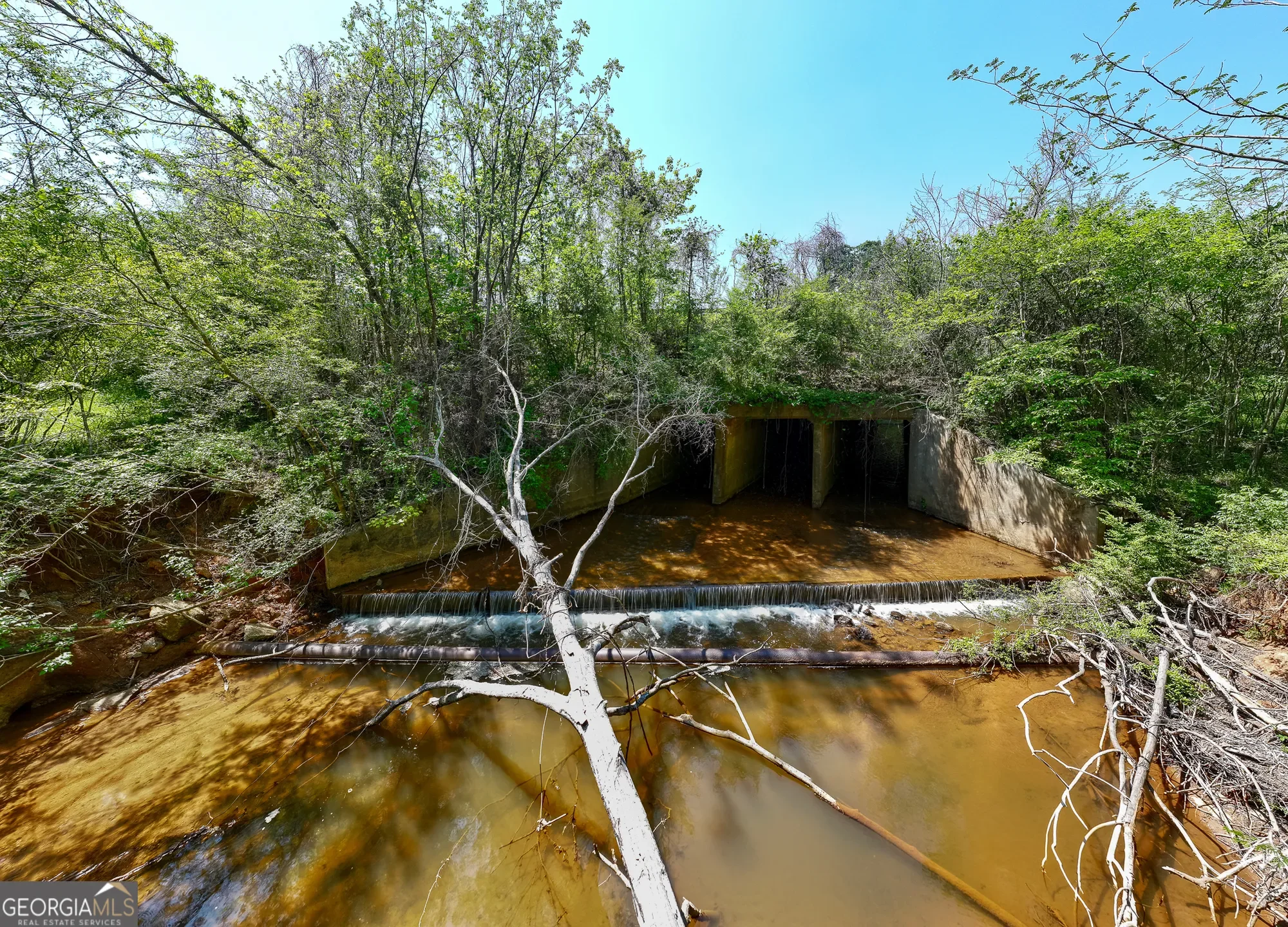 Shiloh, Georgia, United States. - Photo 50