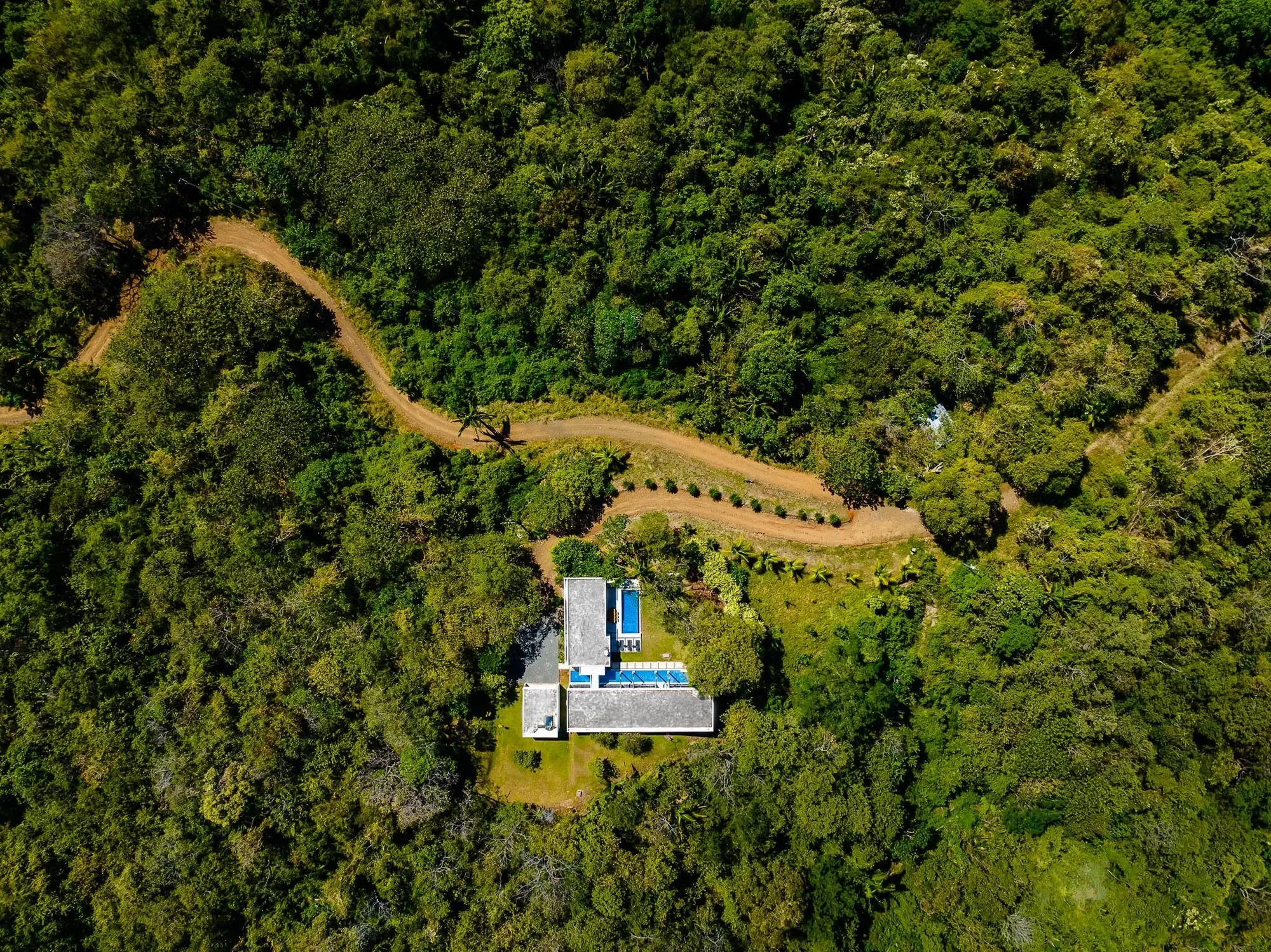 37V6+JFF, Guanacaste Province, Emerald Woods, Costa Rica, Emerald Woods, Guanacaste Province, Costa Rica. - Photo 22
