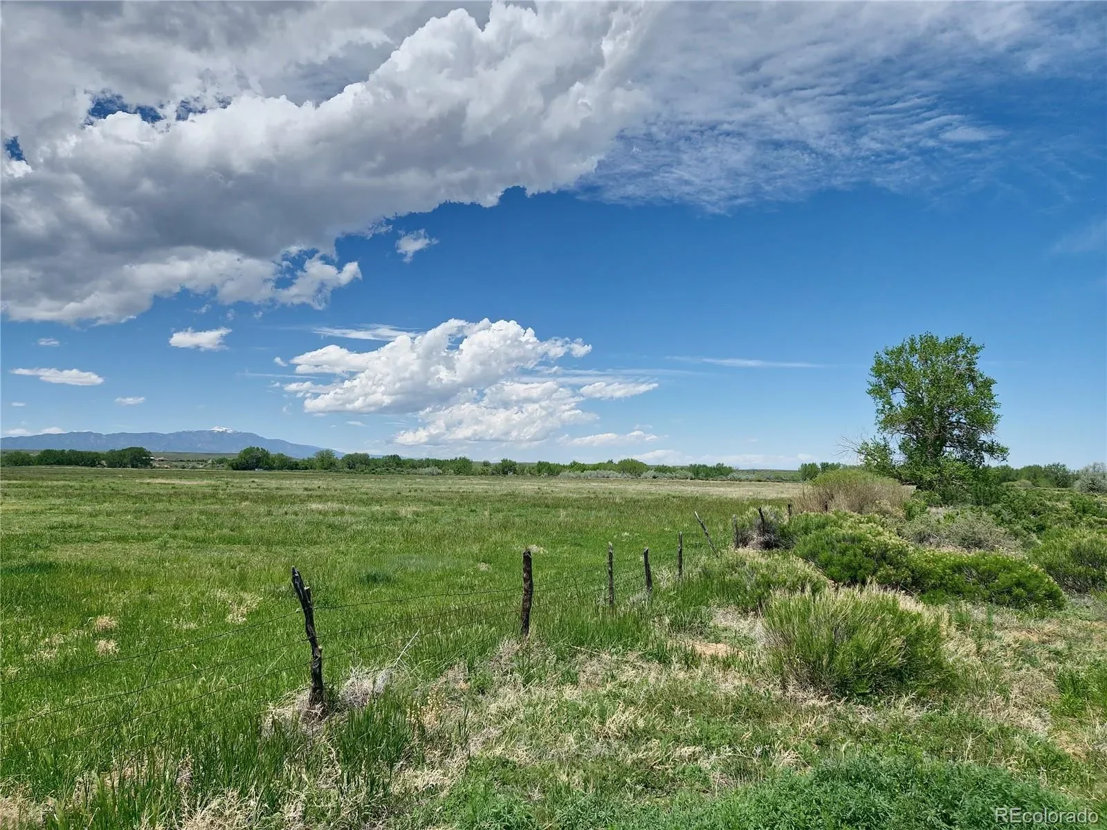 Walsenburg, Colorado, United States. - Photo 35