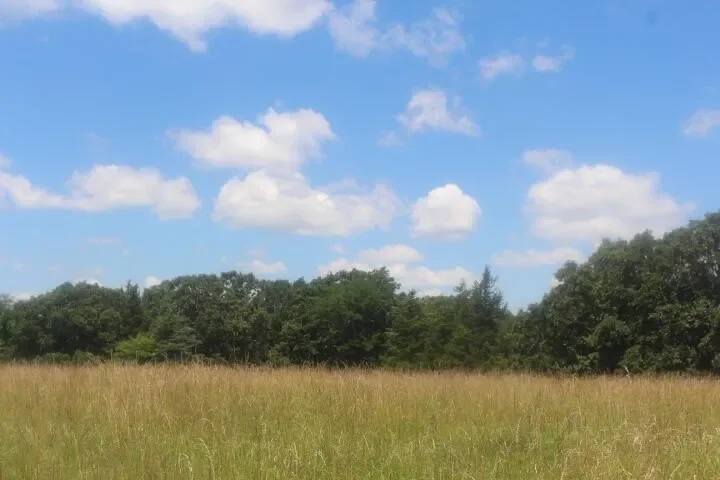 3176 S 170th Road, Polk, MO 65727, Bolivar, Missouri, United States. - Photo 34
