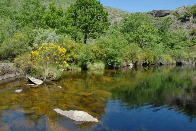 32550 Viana do Bolo, Province of Ourense, Spain, Viana do Bolo, Galicia, Spain. - Photo 27