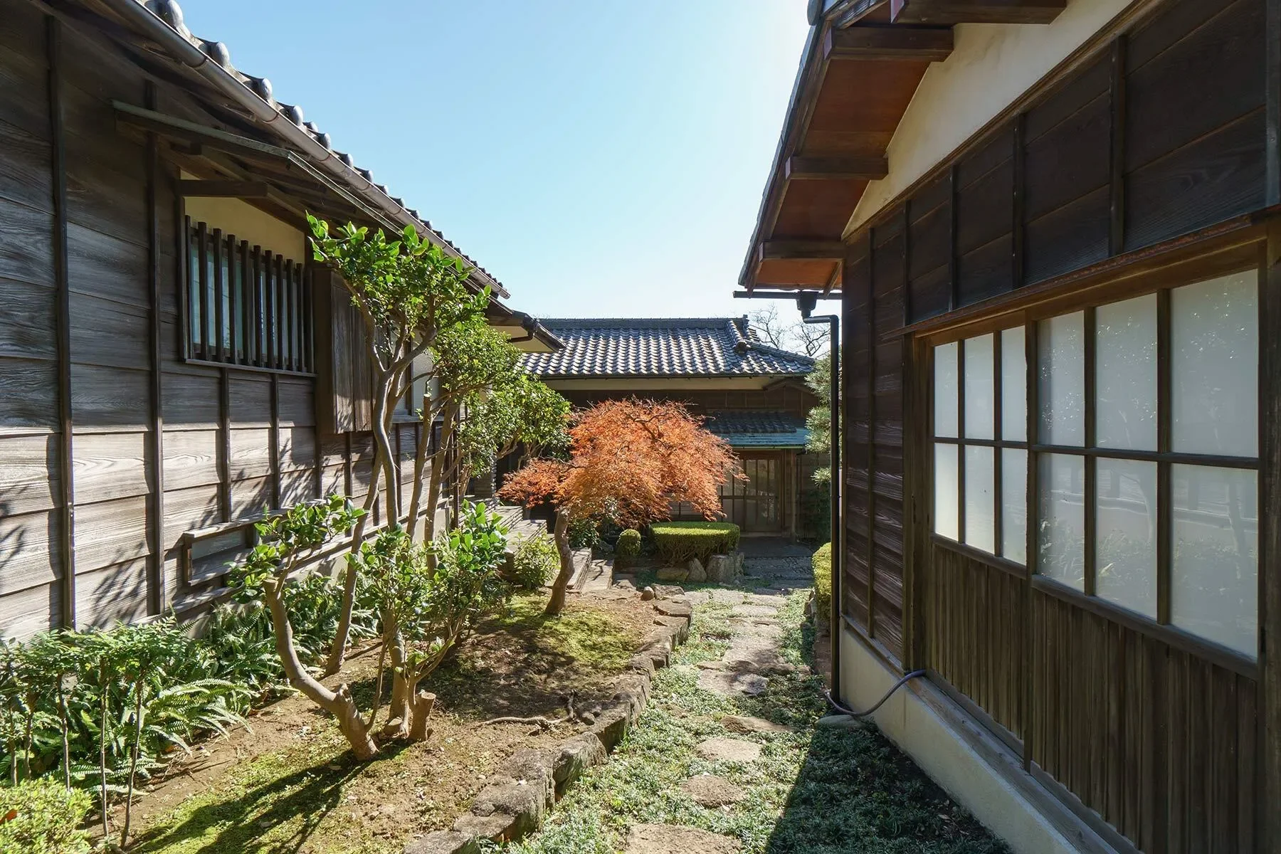 Gallery photo 6
