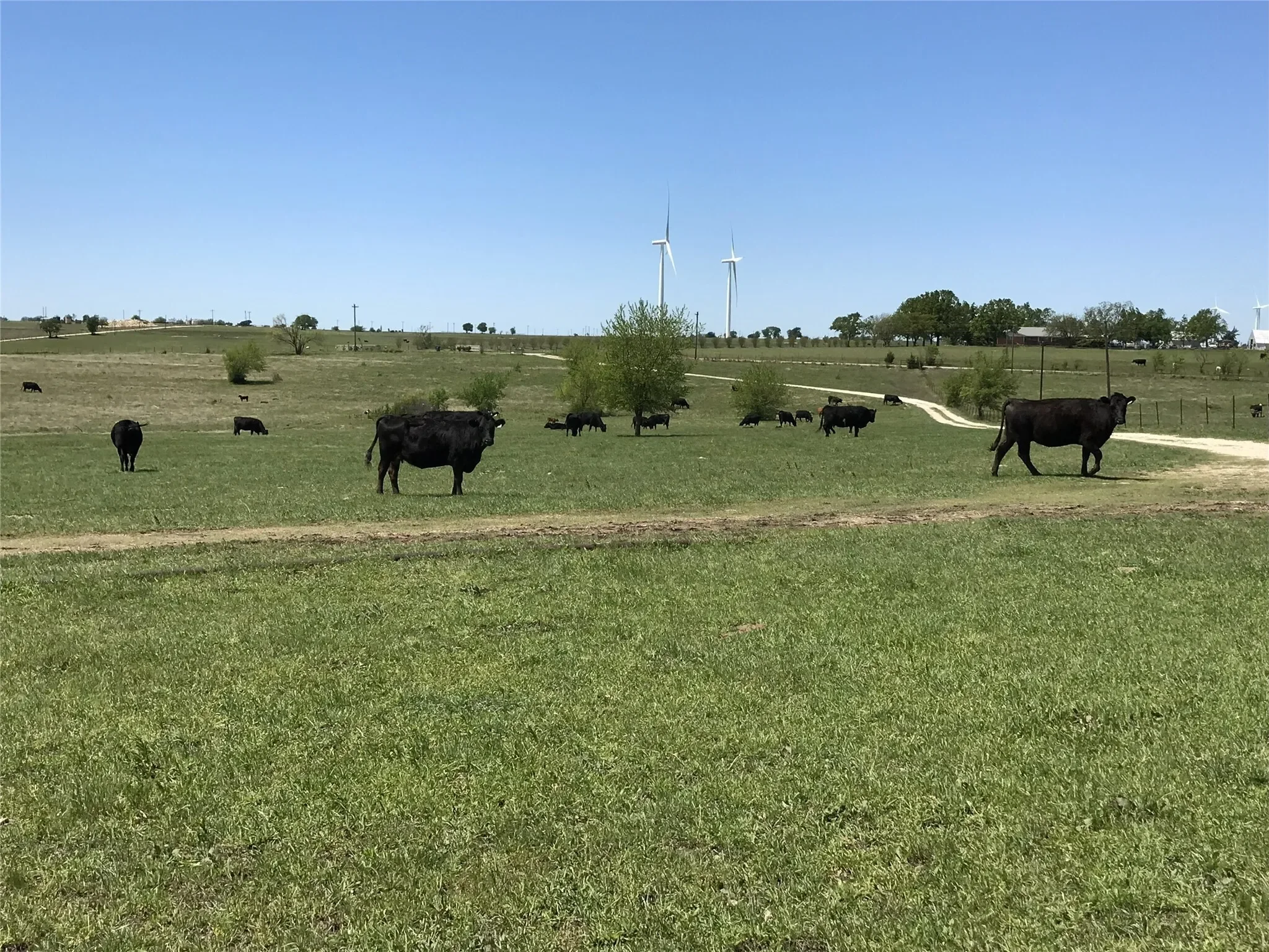 1332 County Road 423, Muenster, TX 76252, Muenster, Texas, United States. - Photo 19