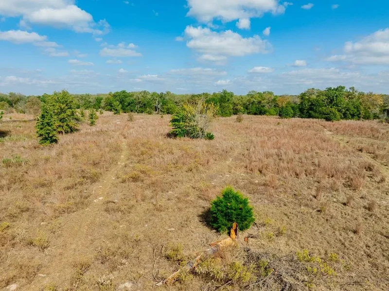 164 Bull Run Road, Cedar Creek, TX 78612, Cedar Creek, Texas, United States. - Photo 26
