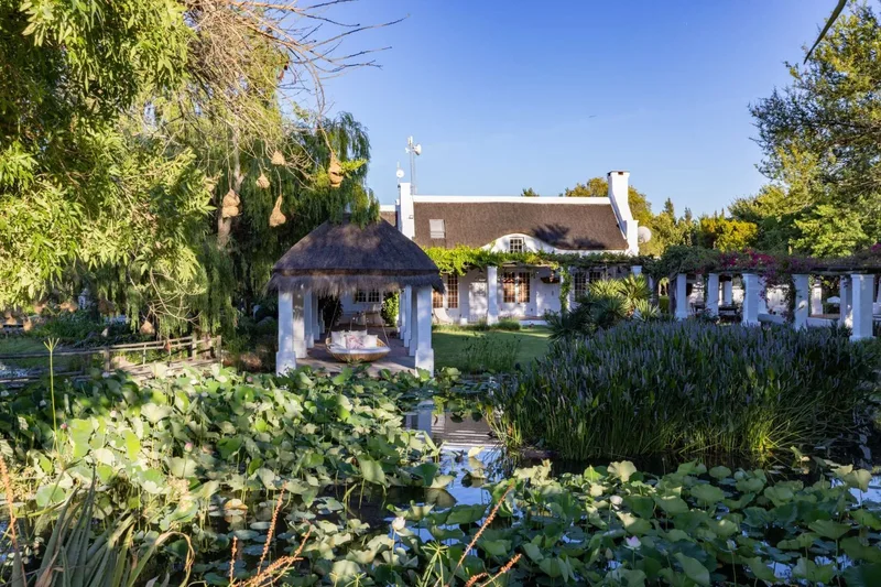 Paarl, Western Cape, South Africa. - Photo 18