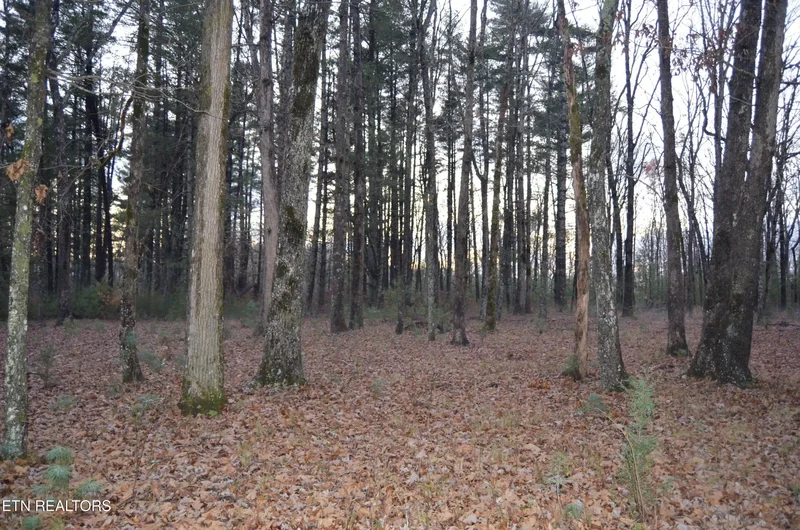 Sparta Hwy 63.3 Acres, Crossville, TN 38555, Crossville, Tennessee, United States. - Photo 55
