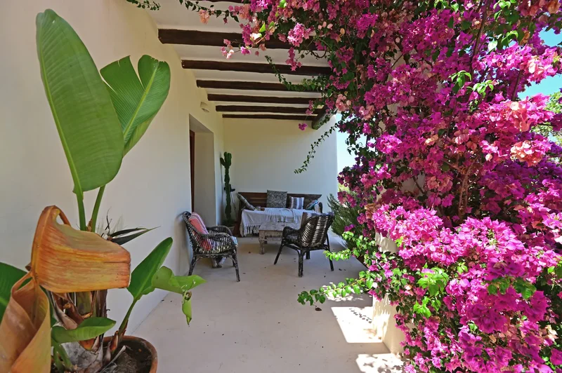 Santa Eularia des Riu, Balearic Islands, Spain. - Photo 8