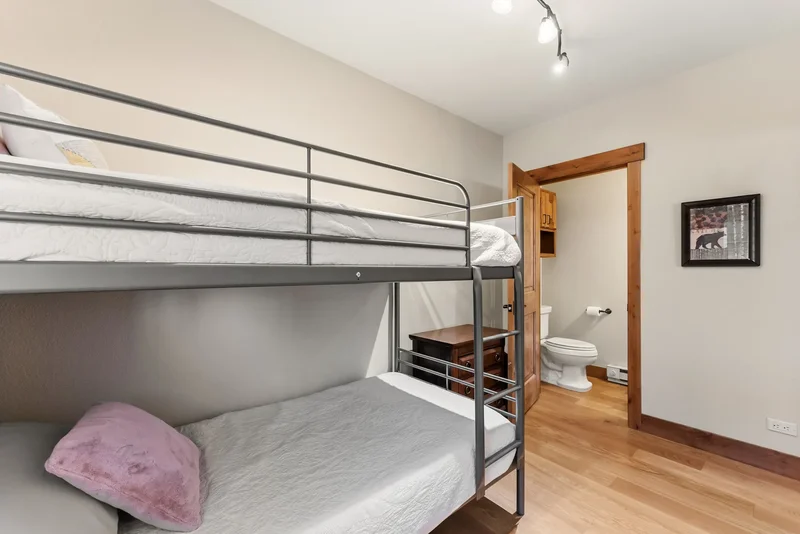 1682 Boreas Pass Road Unit# C, Breckenridge, CO 80424, Breckenridge, Colorado, United States. - Photo 47