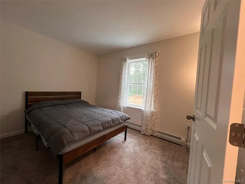 26 Summit Drive, Yulan, NY 12719, Barryville, New York, United States. - Photo 22