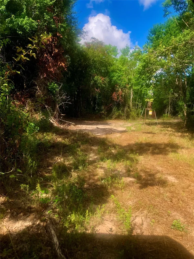 1516 Fm 2518 Road, Cleveland, TX 77327, Cleveland, Texas, United States. - Photo 11