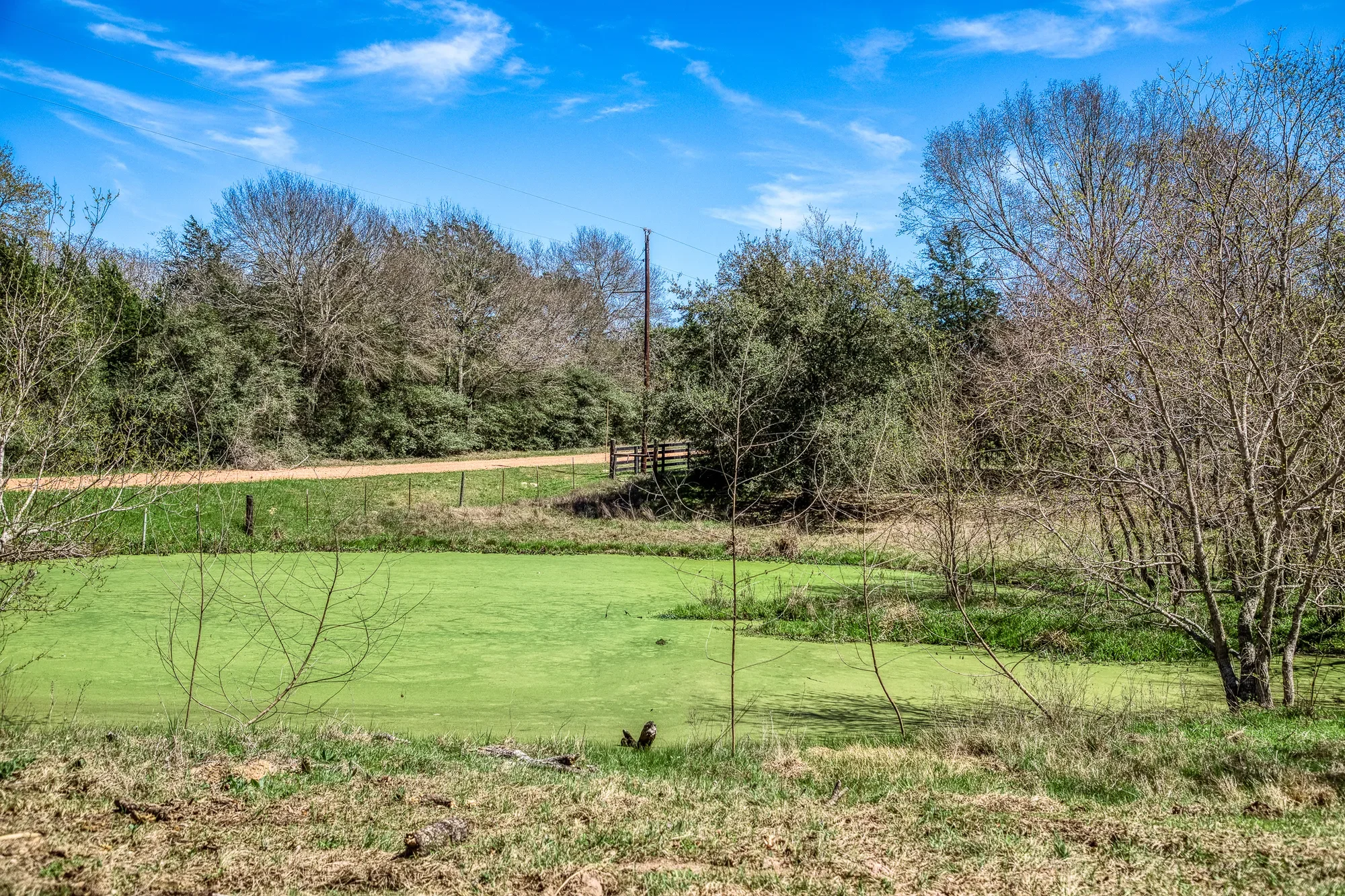 17677 Tranquil Ln , Cat Spring, TX 78933, Cat Spring, Texas, United States. - Photo 59