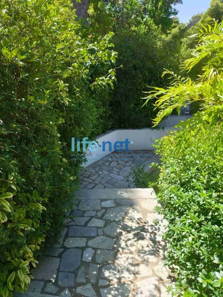 Ekali, Attica, Greece. - Photo 31